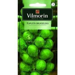 Kapusta brukselska Groninger Vilmorin