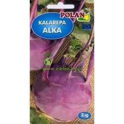 Kalarepa ALKA Polan