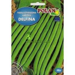 Fasola szparagowa karłowa zielonostrąkowa DELFINA Polan