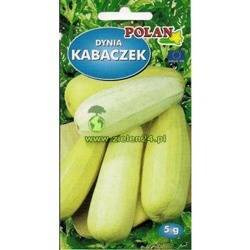 Dynia zwyczajna kabaczek ZŁOTY CEPELIN Polan