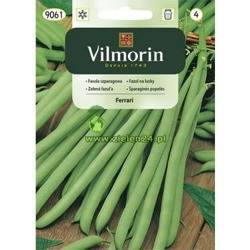 Fasola szparagowa Ferrari Vilmorin