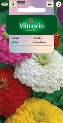 Cynia Daliowa Vilmorin