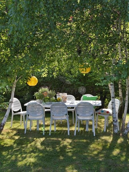 Stół ogrodowy Nardi Alloro 140 Extensible Antracite