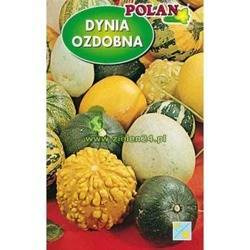 Dynia ozdobna Mieszanka Polan