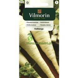 Pietruszka korzeniowa Berlińska ( Halblange ) Vilmorin