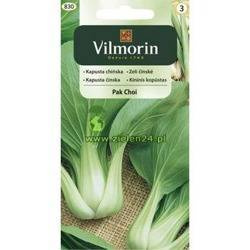 Kapusta chińska Pak Choi Vilmorin