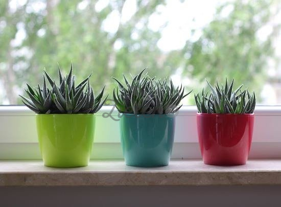 Donica Magnolia 300mm złoty metalik Lamela