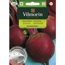 Burak ćwikłowy Czerwona Kula na taśmie Vilmorin