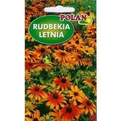 Rudbekia letnia dwubarwna Mieszanka Polan