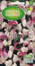 Groszek pachnący Biało-Różowy 2g Polan