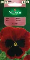 Bratek Abendglut Vilmorin