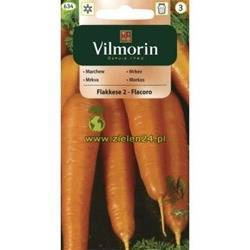 Marchew Flakkese 2 (Flacoro) Vilmorin