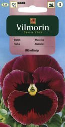 Bratek Blumlisalp Vilmorin