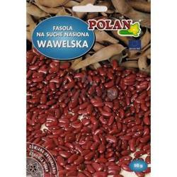 Fasola na suche nasiona karłowa WAWELSKA 50g Polan