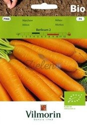 Marchew Berlikumer 2 BIO 5g