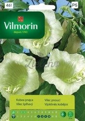 Kobea Pnąca biała 0,5g