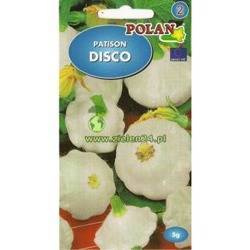 Dynia zwyczajna Patison DISCO Polan