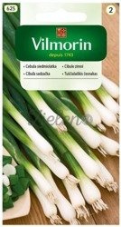 Cebula siedmiolatka Bajkał Vilmorin