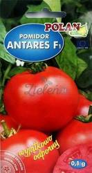Pomidor ANTARES Polan