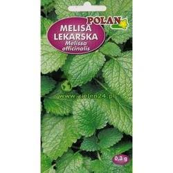 Melisa lekarska Polan