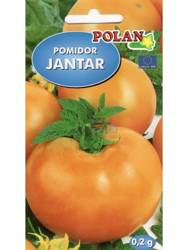 Pomidor JANTAR Polan