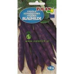 Fasola szparagowa typu mamut tyczna BLAUHILDE Polan