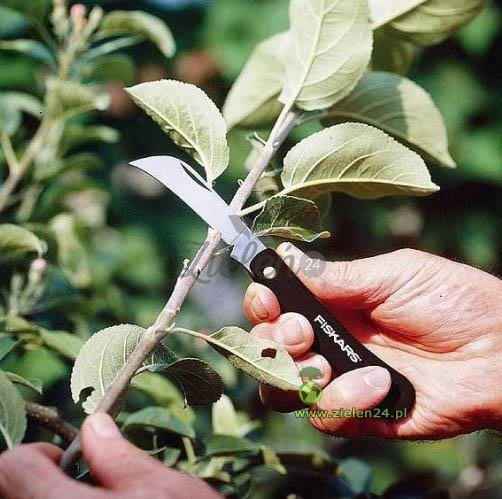 Sierpak Fiskars K62
