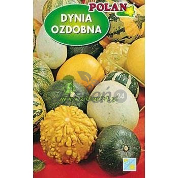 Dynia ozdobna Mieszanka Polan