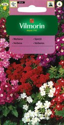 Werbena Ogrodowa 0,5g