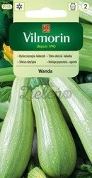 Kabaczek Zwyczajny Wanda 2g