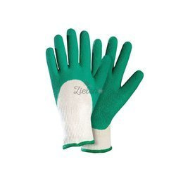 Rękawice do róż ROSTAING rozm.8 zielone