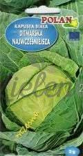 Kapusta głowiasta biała DITMARSKA NAJWCZEŚNIEJSZA Polan