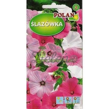 Ślazówka Mieszanka Polan