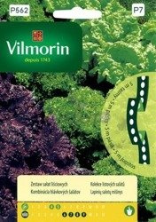 Zestaw sałat na taśmie