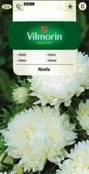Aster Chiński Nimfa Vilmorin