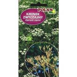 Kminek zwyczajny Polan