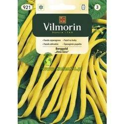 Fasola szparagowa Berggold Vilmorin