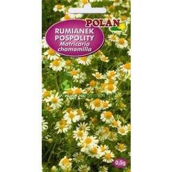 Rumianek pospolity Polan