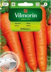 Marchew Berlikumer na taśmie Vilmorin