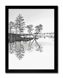 Obraz na płótnie Drzewa