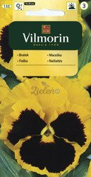 Bratek Gelb M.Auge Vilmorin