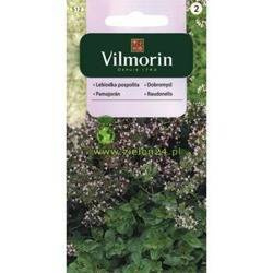 Oregano- Lebiodka pospolita Vilmorin