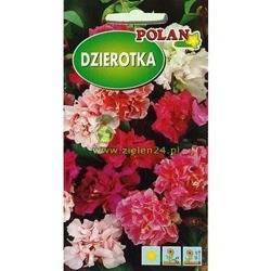 Dzierotka Mieszanka 2 g Polan