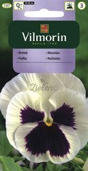 Bratek Szwajcarski Biały z plamą Vilmorin