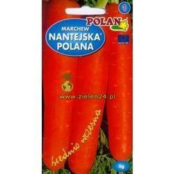 Marchew NANTEJSKA POLANA + 20% gratis Polan