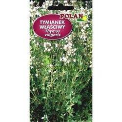 Tymianek pospolity Polan