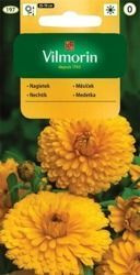 Nagietek lekarski żółty Vilmorin