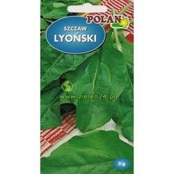 Szczaw LYOŃSKI Polan