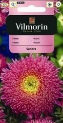 Aster Chiński Sandra Vilmorin