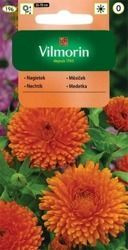 Nagietek lekarski pomarańczowy Vilmorin